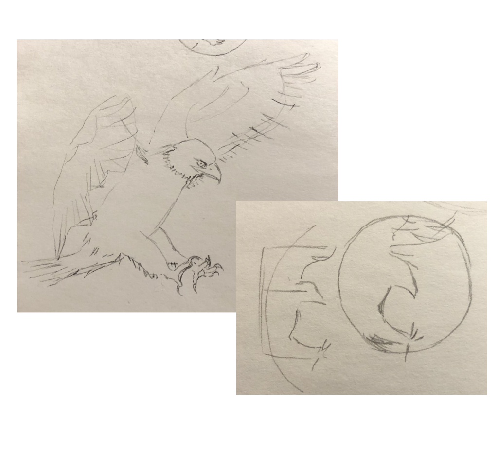 Eagle logo sketch